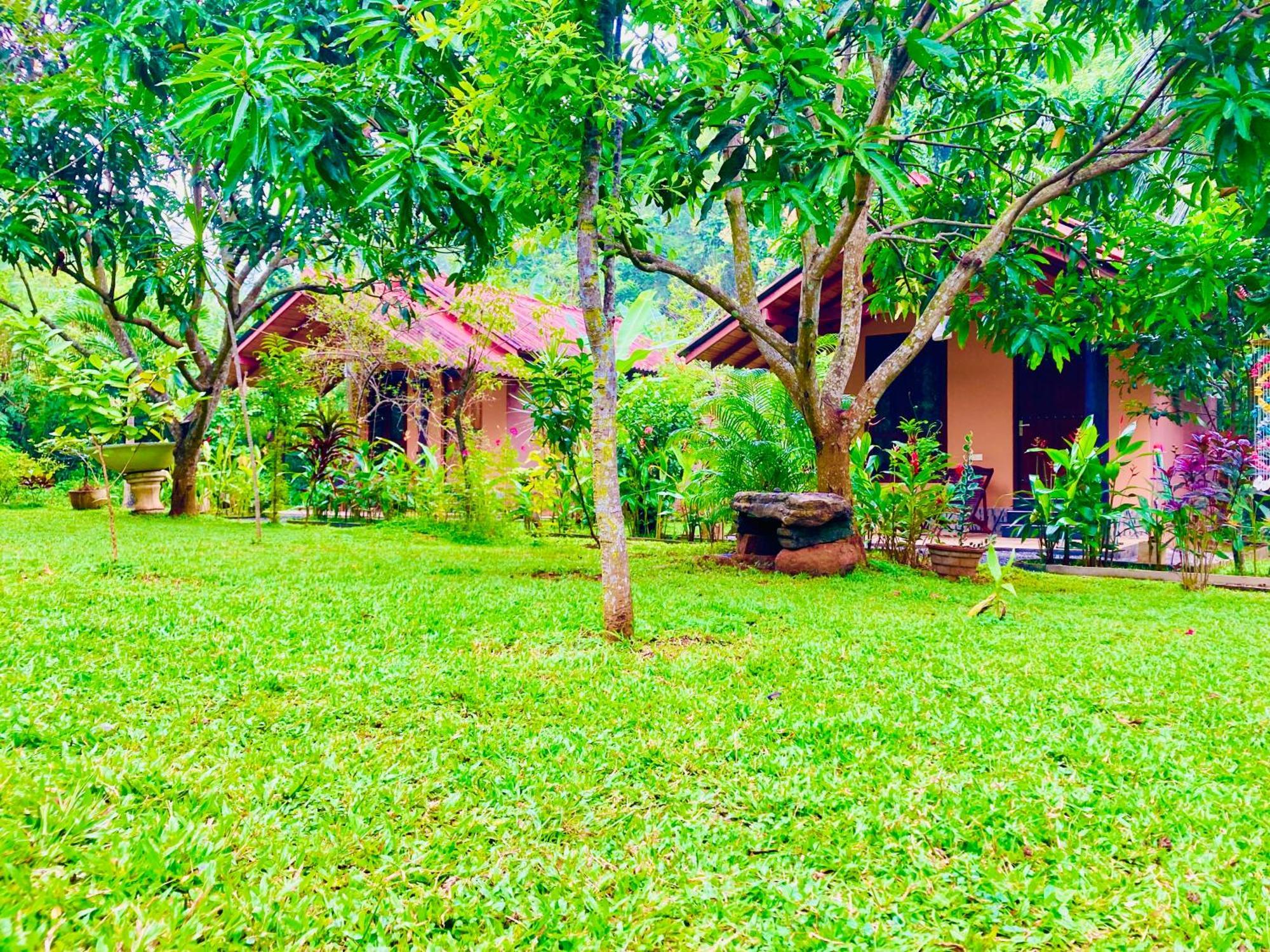 Suncity Privacy Cottages Udawalawe Exteriér fotografie