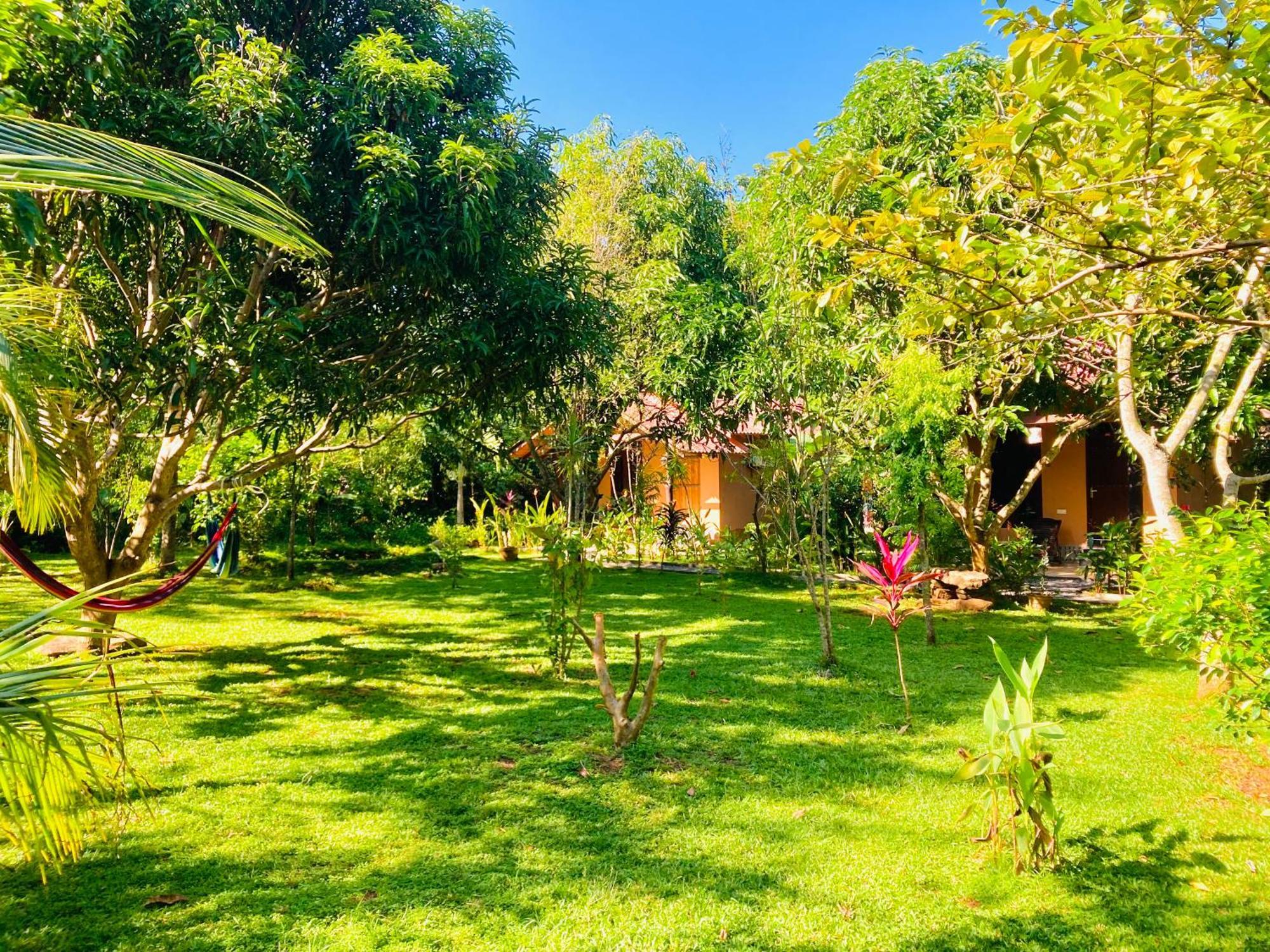 Suncity Privacy Cottages Udawalawe Exteriér fotografie